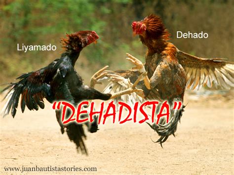 dehadista meaning|Dehado .